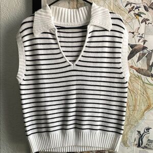 Striped Knit Sleeveless Sweater Vest